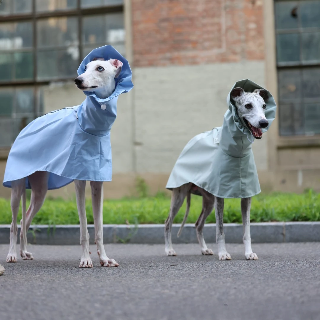 Einfarbiger Regenmantel für Italienische Windhunde und Whippets im Frühling und Sommer, Leichte, Taillenverstellbare, Winddichte Jacke für Hunde – Detail 15