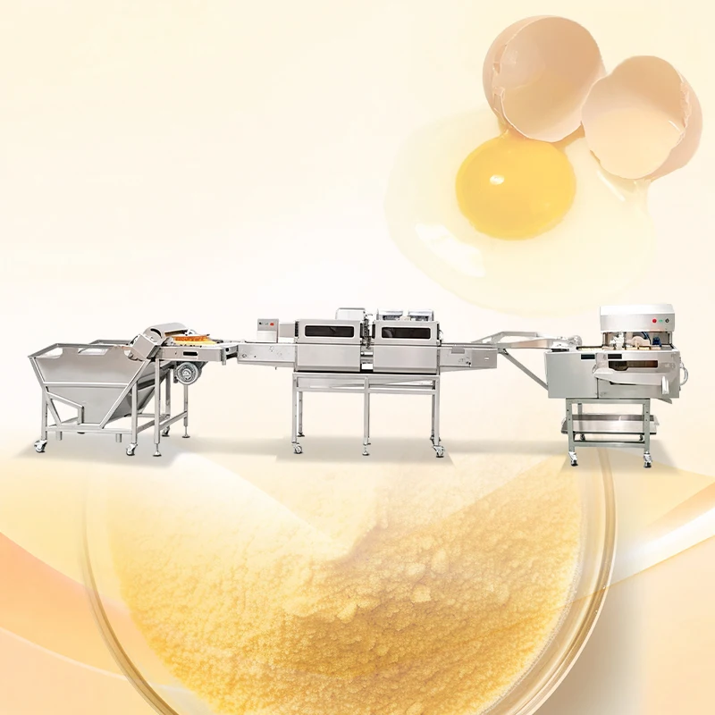 Fully Automatic Egg Powder Production Line Complete Egg Washer Breaker and Spray Dryer for Food Industry Customized