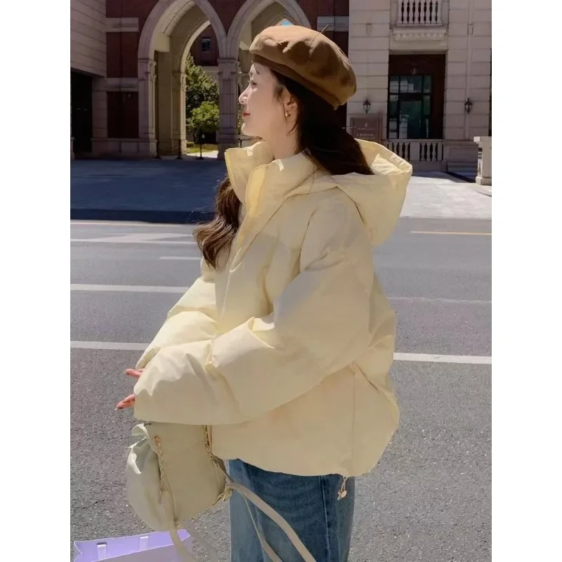 Down cotton-padded jacket winter 2024 New Korean version of thick cotton-padded coat loose short solid color hooded coat women