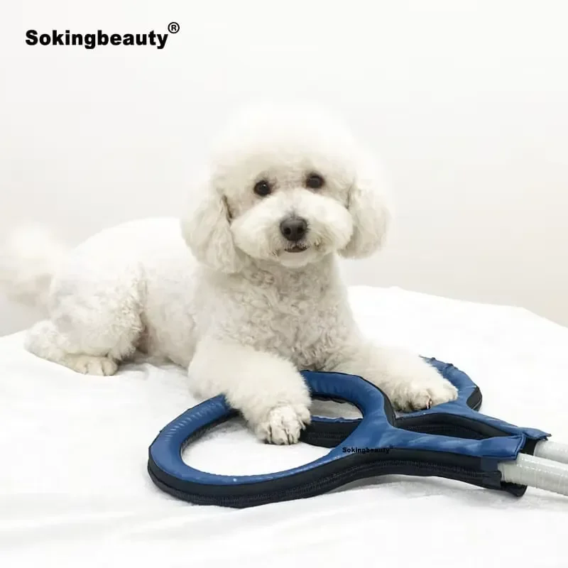for Premium Pet Care PEMF Machine for Dog Vitality Cat Happiness Pulse Electromagnetic Field Therapy Wellness Equipment