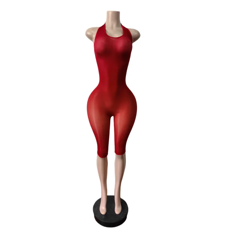 Sexy Sommer-Damen-Mesh-Jumpsuits Durchsichtige Neckholder-Overalls Ärmellose Figurbetonte Dehnbare Einteiler Nachtclub-Kleidung Playsuit – Detail 7