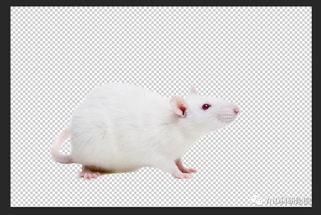 4PCS 115MM Tires Wh…