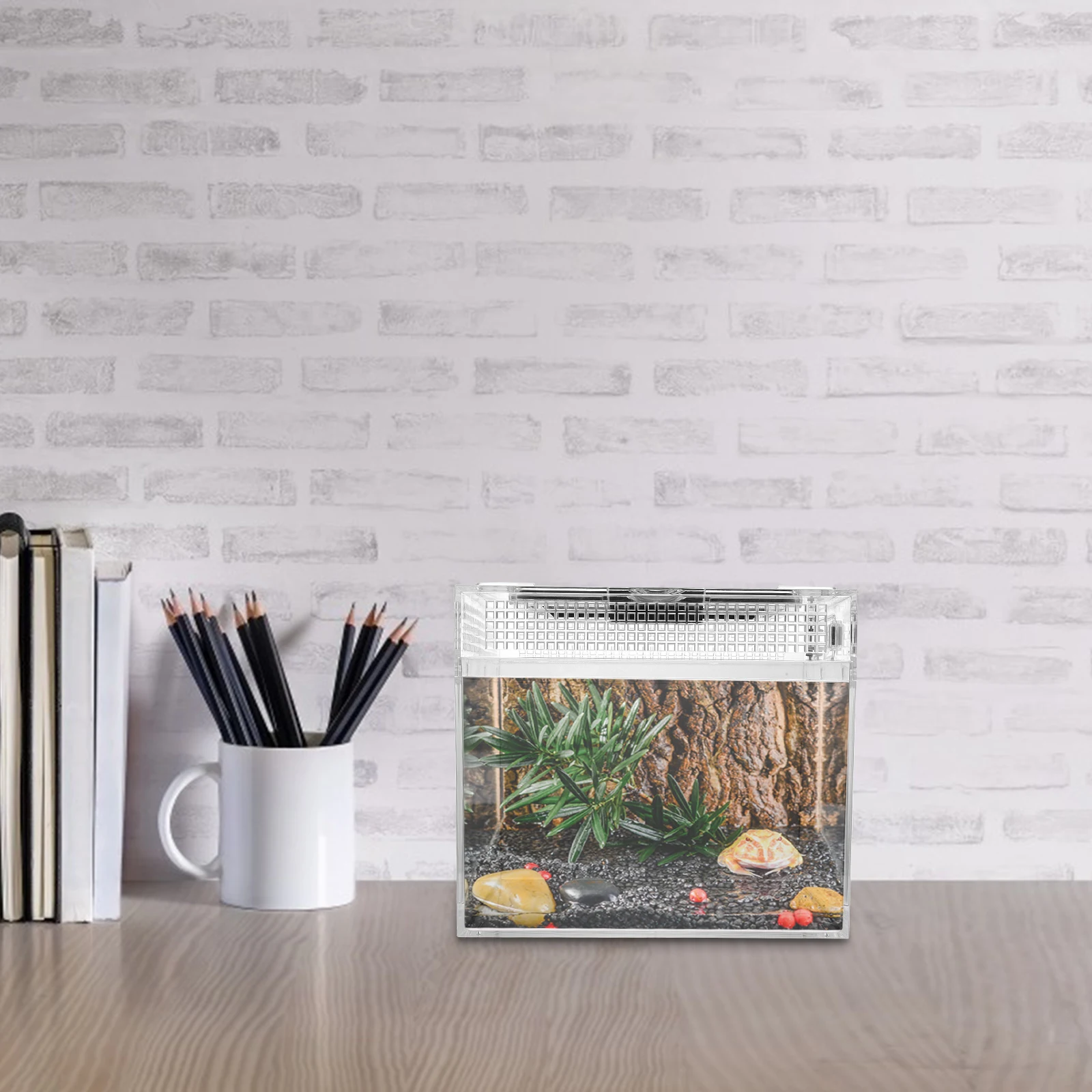 

1pc Reptile Feeding Size Transparent Ventilated Breeding Container For Turtle Spider Snake Scorpion Hermit Crab