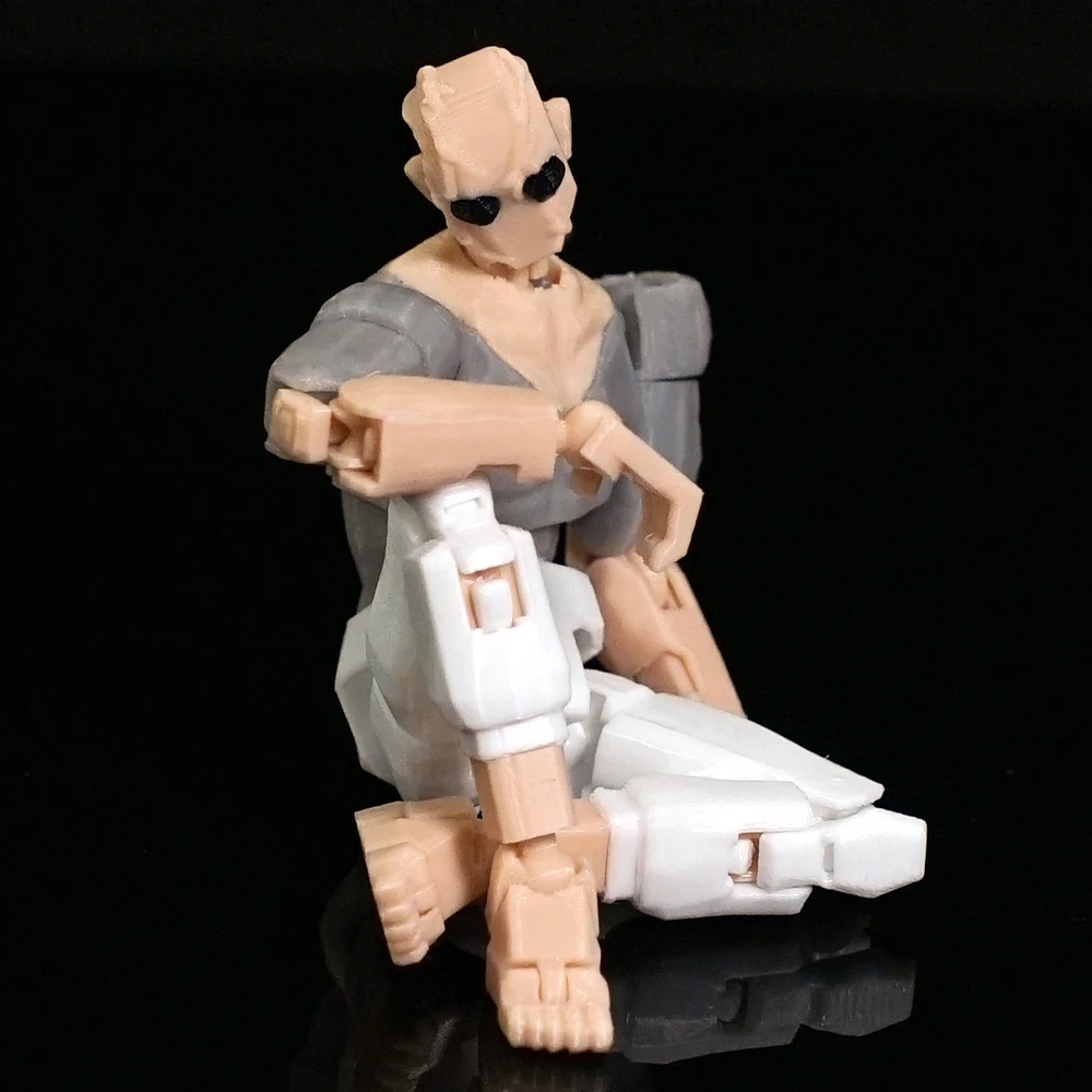 3D Printed Invincib…