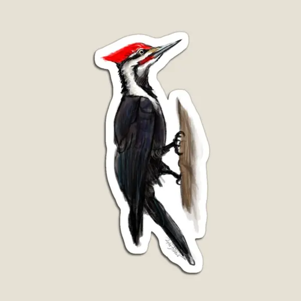 Pileated Woodpecker  Magnet Kids Stickers Holder Decor Toy  Magnetic Home Baby Colorful Refrigerator Cute for Fridge Organizer