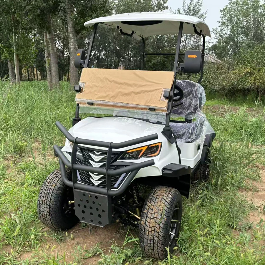 MMC قابل للتخصيص فاخر 2/4/6 مقاعد 4000/5000/7000/10000/15000 واط على الطرق الوعرة 4WD سيارة جولف عربة جولف كهربائية #1