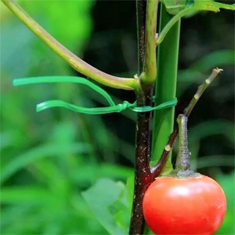 KXRA Green Organization Tiegurt für Heimorganisation und Aktivitätsausrüstung Freien, die wetterfeste Anlagenbindungen