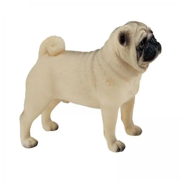 Shar Pei Dog Model Lifelike Animal Playset Educational Figurine Toy for Children Home Ornaments