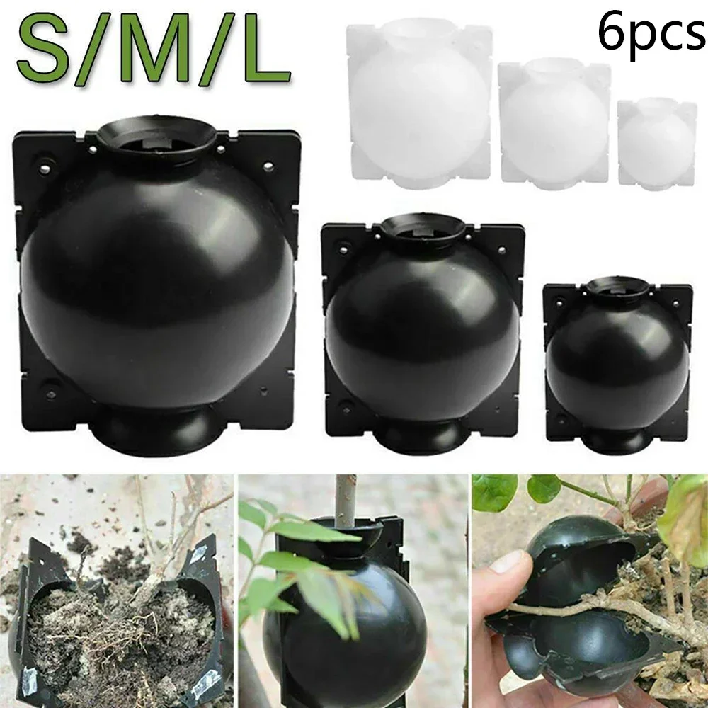 6pcs 5/8/12cm Plant Rooting Ball Grafting Rooting Growing Box Breeding Case Plant Root Growing Box Garden Propagation Breeding