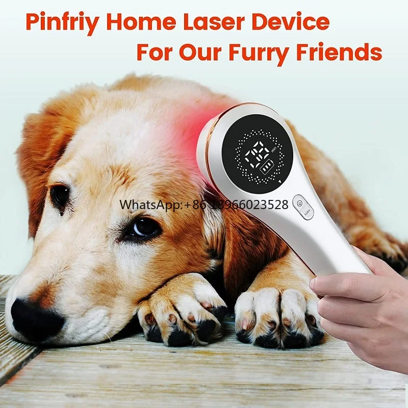 Excellent Laser Acupuncture Device Wound Recovery Therapy Instrument Anti-inflammatory and Swelling