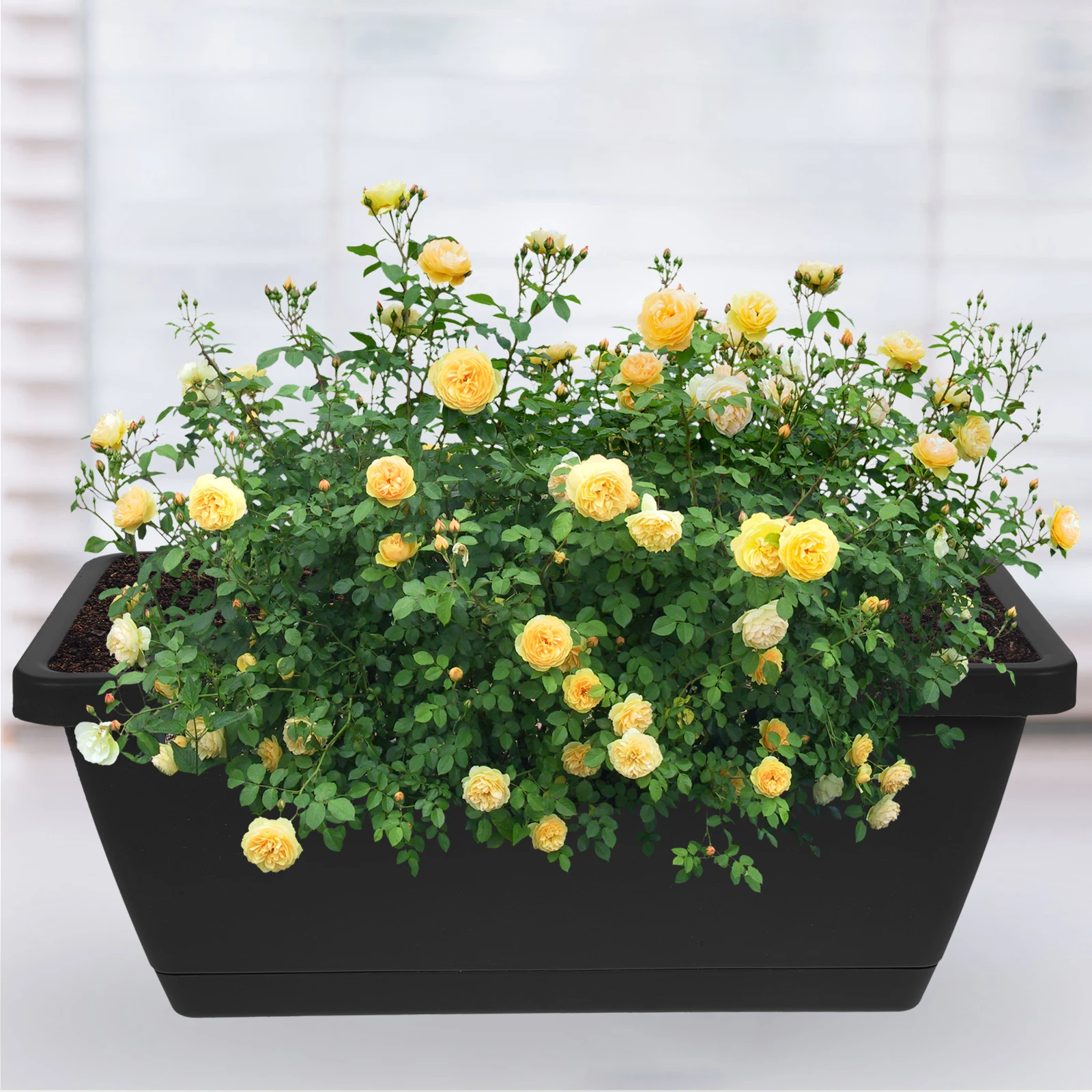 

4pcs Plastic Flower Pots Rectangular Bonsai Planters Large Outdoor Plant Containers For Garden Cactus Succulent Indoor Reusable