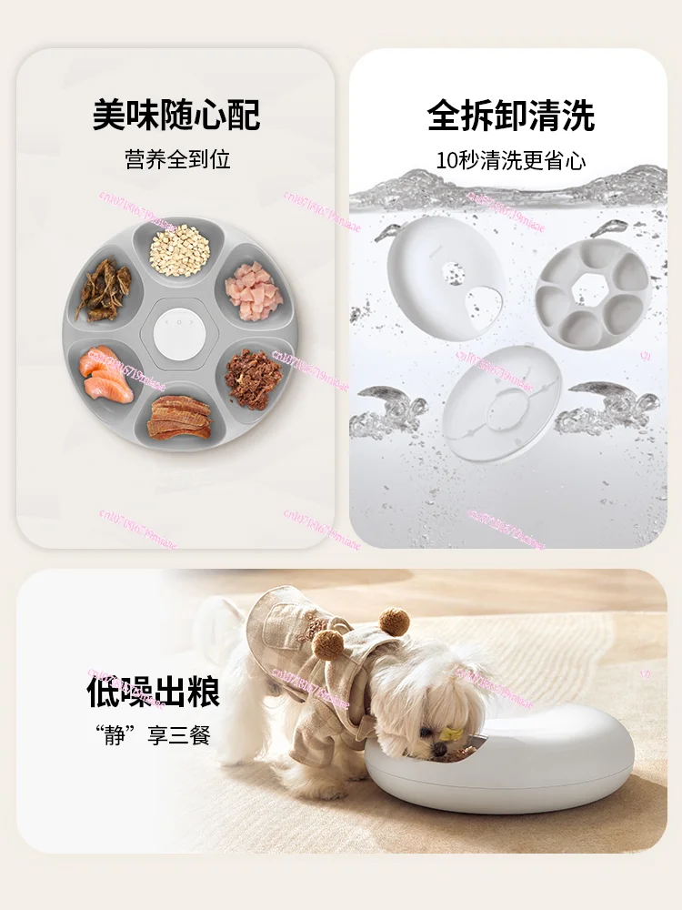 Automatic feeder snacks freeze-dried canned cat strips cat food pets feed regularly