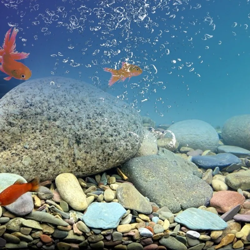 Natural Stream Pebbles Gravel 3