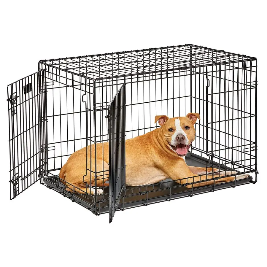 

Intermediate LifeStages Double Door 36Inch Folding Dog Crate, Enhanced Security, Includes LeakProof Pan, Divider Panel, Handle,