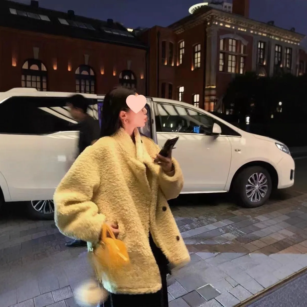 Cappotto invernale in pelliccia artificiale da donna in stile Instagram Colletto peloso Cappotto monopetto in pelliccia di visone femminile Cappotto minimalista in pelliccia ecologica da donna