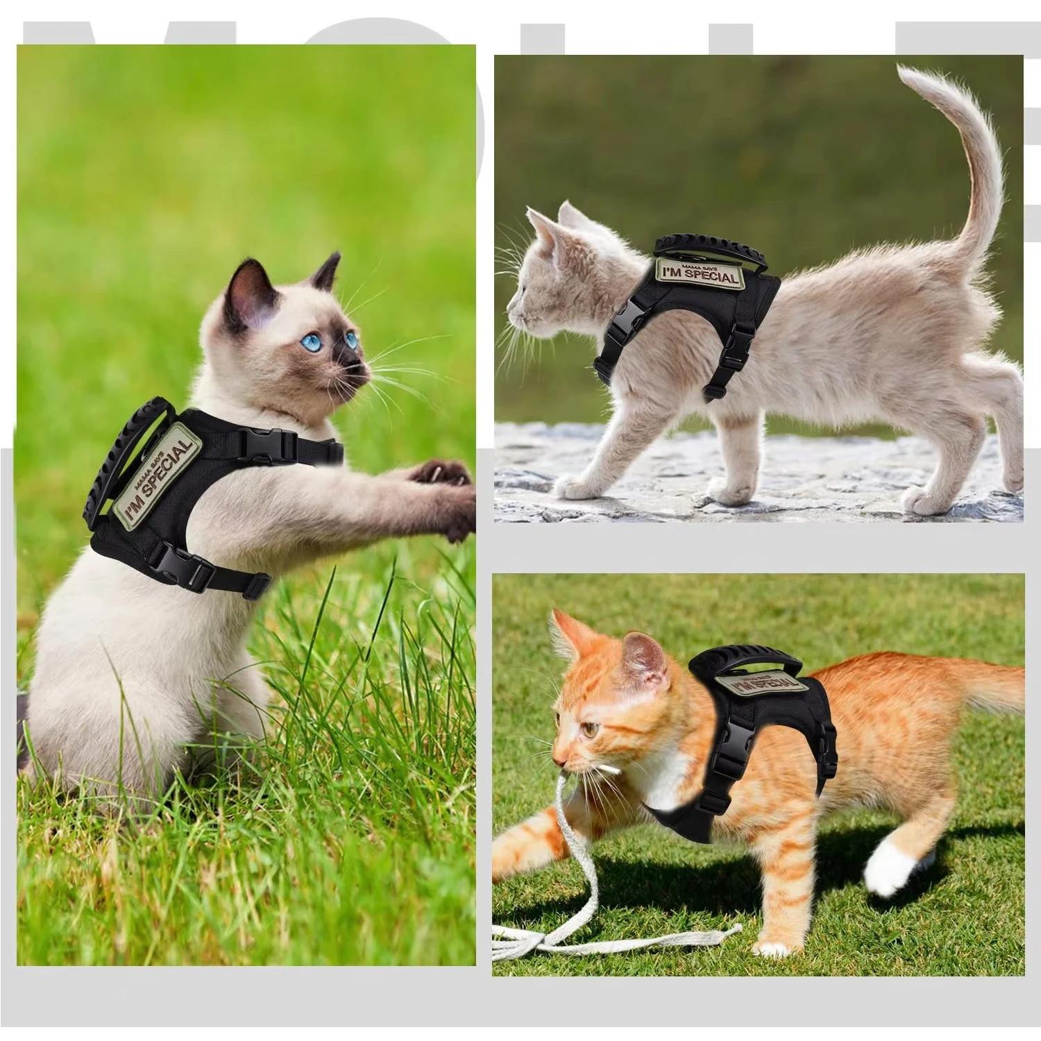 Outdoor tactical cat chest harness vest type lead rope anti-break adjustable walking cat leash Waterproof Cat Clothes Strap - view 3
