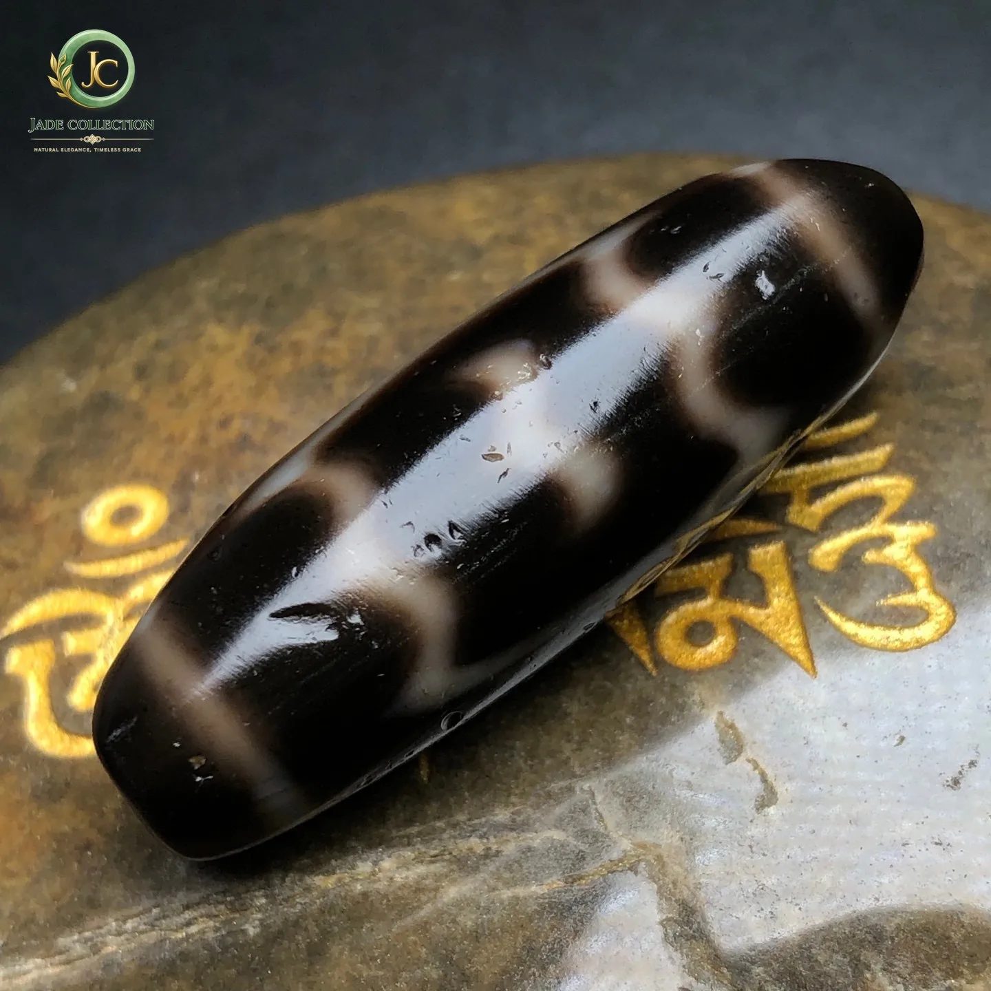Rare Tibetan Buddhism Agate Roc bird Dzi Bead Amulet Necklace Pendant G3784