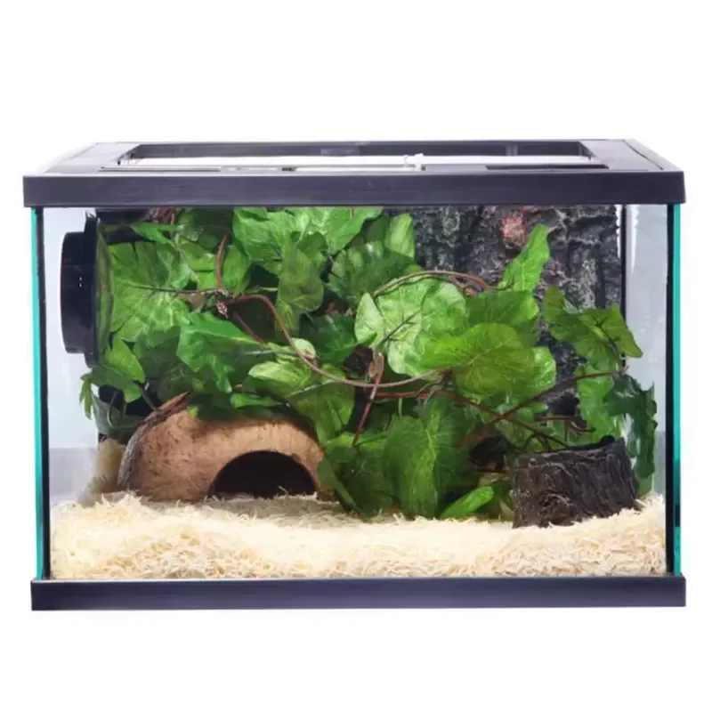 

Mclanzoo 360° Panoramic Reptile Terrarium Rainforest Habitat for Gecko Frog Turtles Tortoise
