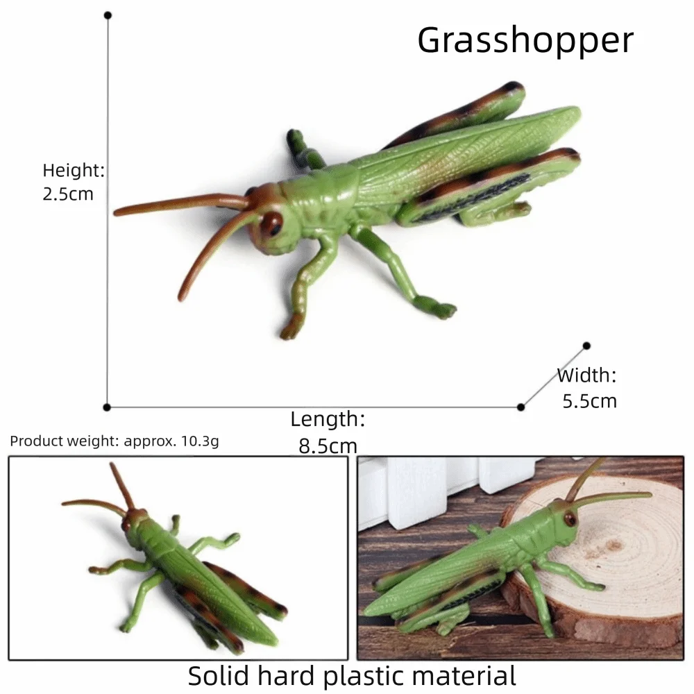 Simulation Insect Model Figures Spider Bee Plastic Animals Model Set Coccinella Septempunctata Dragonfly Children Novelty