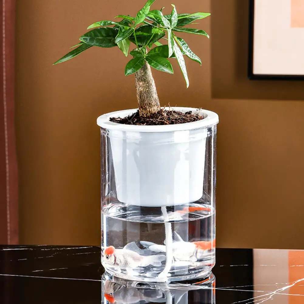 Aquaponic Flowerpot Aquaponic Betta Fish Tank with Shatterproof Plastic Bowl Transparent Ecosystem Aquarium Planter Desktop