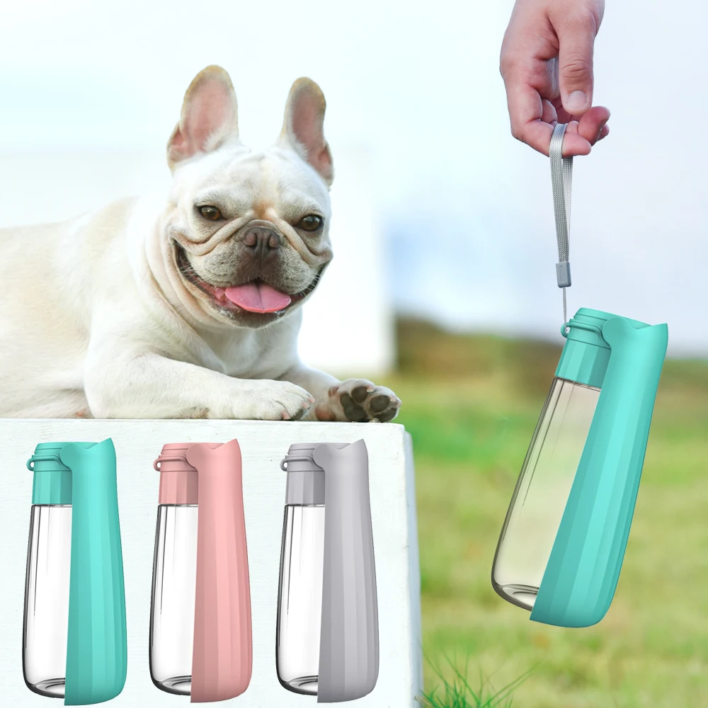 Distributeur d\'eau portable pliable pour petits et grands chiens, bol à boire, fournitures pour animaux de compagnie, adapté pour chiot, bouledogue