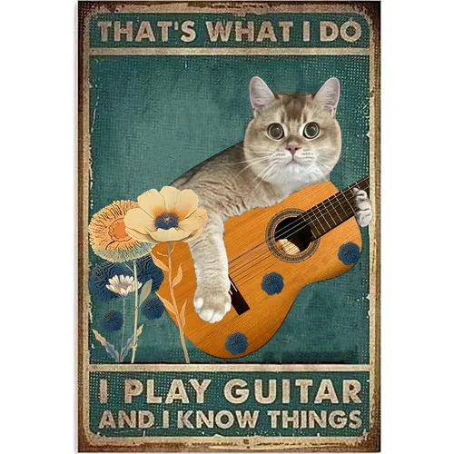That;s What I Do I Like Play Guitars and I Know Things Poster Vintage Tin Signs