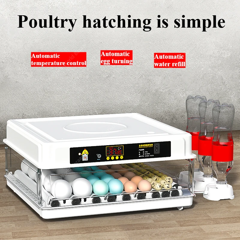 Small household automatic intelligent mini bird egg incubator rutin chicken incubator