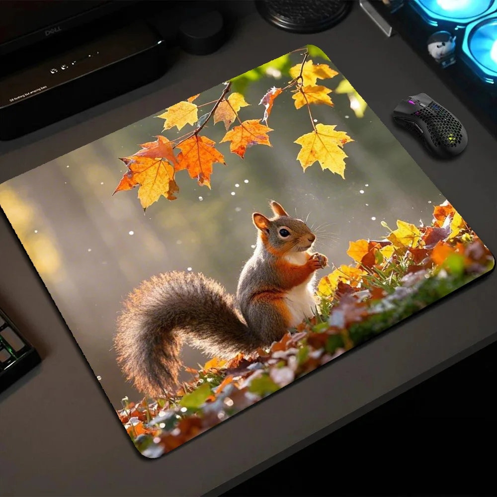 

Autumn maple leaf squirrel patterned mousepad is a computer game accessory made of rubber, suitable for both office and home use