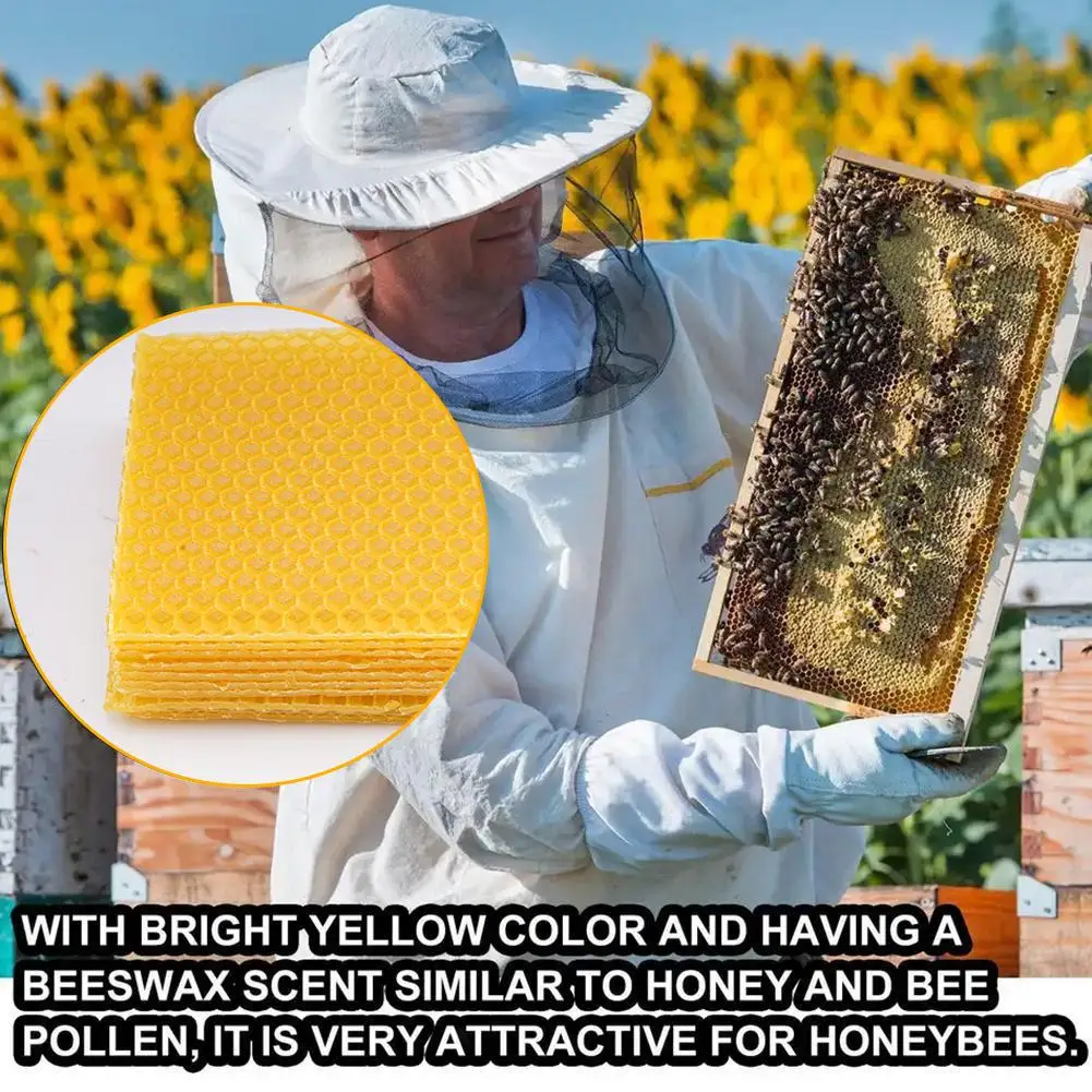 10Pcs Beeswax Sheets Candle Making Craft DIY Kits Honey Candles Maker Full Bees Wax Honeycom Beekeeping Foundation Sheets