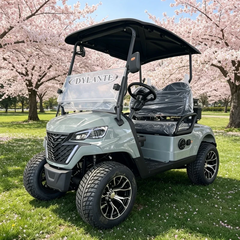 

China 48/60/72V Lithium Battery Golf Car 2/ 4 /6/8 Seater 5000W/7000W Sightseeing Scooter Solar Electric Golf Cart