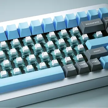 Kailh Box Arctic Fox Switch RGB SMD Tıklamalı Anahtarlar Mekanik Klavye İçin MX Switch 5 Pin Mavi Beyaz Özel Çalışırken Değiştirilebilir 10 best sales Mavi anahtarlı klavye - №7