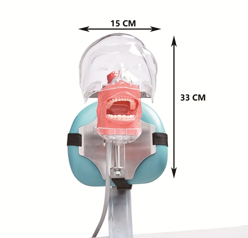 Tandheelkundige Simulator Hoofd Model Dummy Fantoom Typodont Met Tanden Tandarts Onderwijs Studie Demonstratie Tools Tandheelkunde Apparatuur