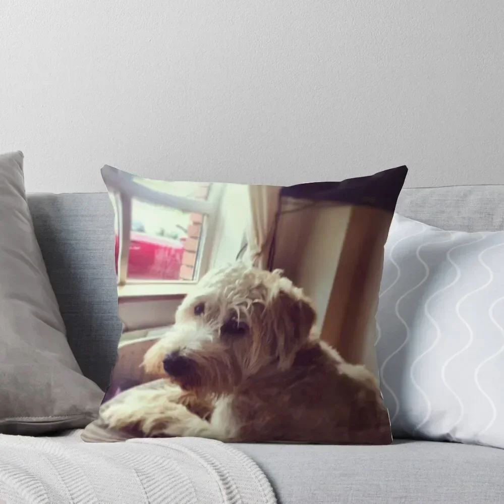 Harry, Wheaten Terrier Throw Pillow New year pillow pillowcase christmas decorations for home 2025 luxury decor pillow