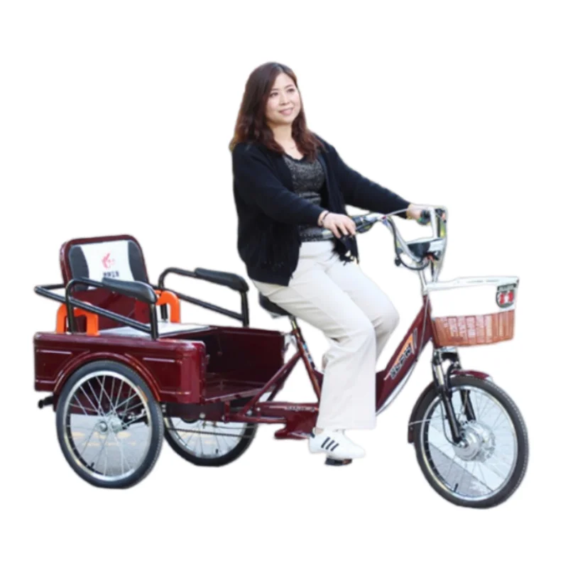 20 Inch 3 Wheel Electric Bike Tricycle Adults 2 Seat For Passengers 250W 48V Electric Cargo Bicycle Ladies Removable Battery