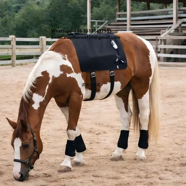 Large Size Horse Back Brace Wrap 660nm 850nm Red Infrared Phototherapy LED Red Light Equine Therapy Device
