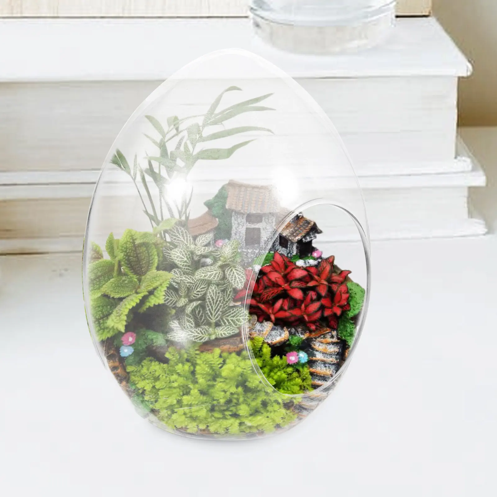 Premium Clear Glass Landscape Bottle for Terrarium DIY Micro Landscaping Succulent Plants Moss Growing Ecological Bottle Desktop