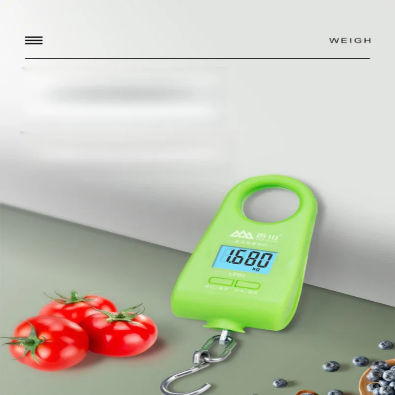 

For Precision Mini Weighing Portable Scale Hook 20kg Portable Electronic Kitchen Express Spring