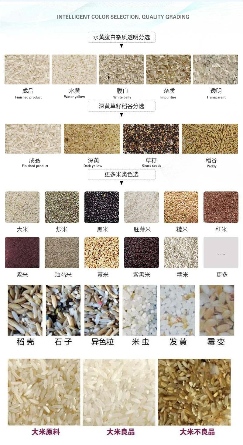 Multifunctional Pistachio Sorting Cashew Nut Sorter Machine for Wholesales