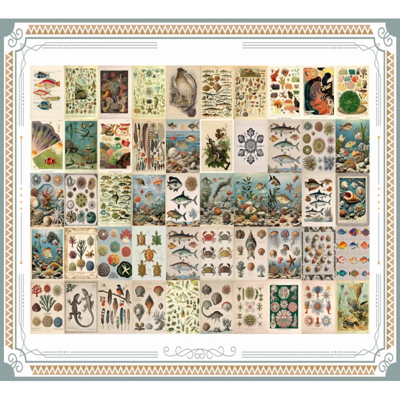 50pcs/Set，Retro Postcard Suit，Natural Retro Style Marine Life、Animal、Crab Postcard，Card、Poster、Greeting Card；For School Room Dec