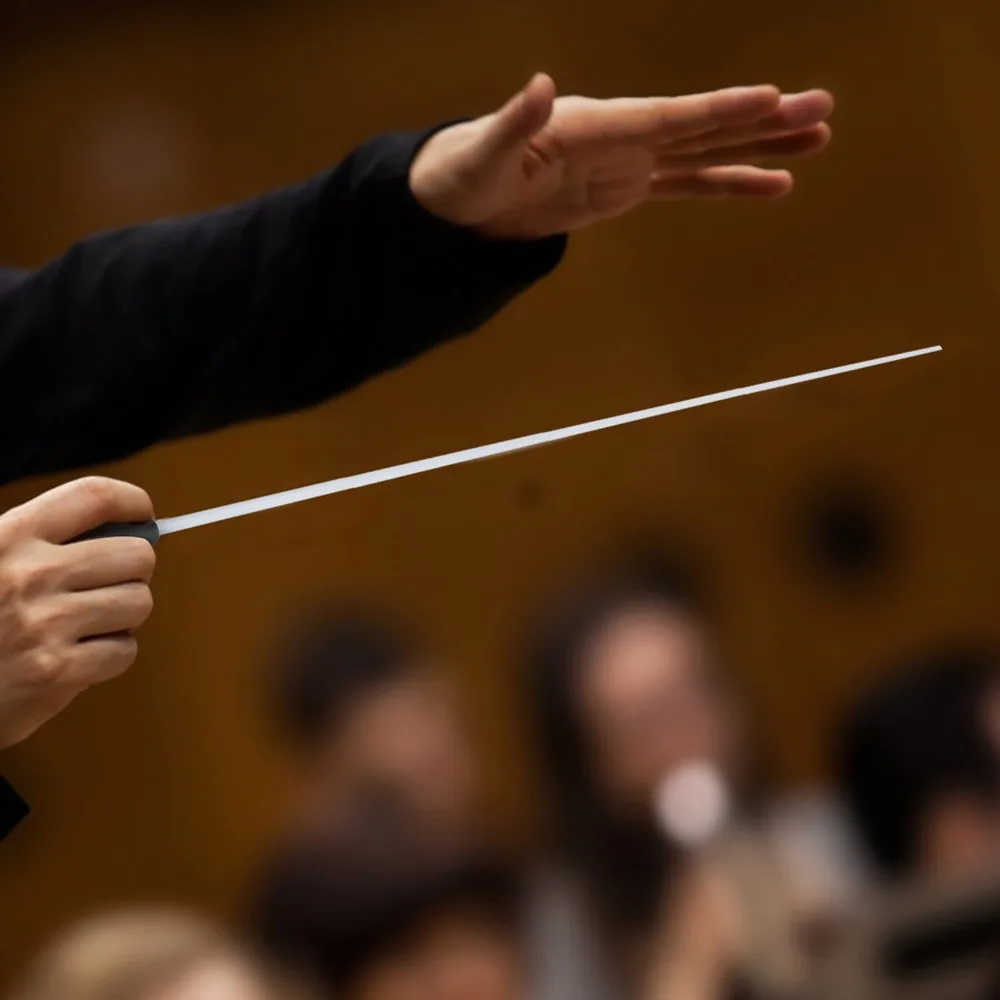 Negro/Amarillo Profesional ​ Batuta de Director Musical ​ 39 cm de longitud ​ ​ Agarre Equilibrado ​ Palo de dirección para conciertos ​ Asa de resina ​ Dirigir una orquesta ​
