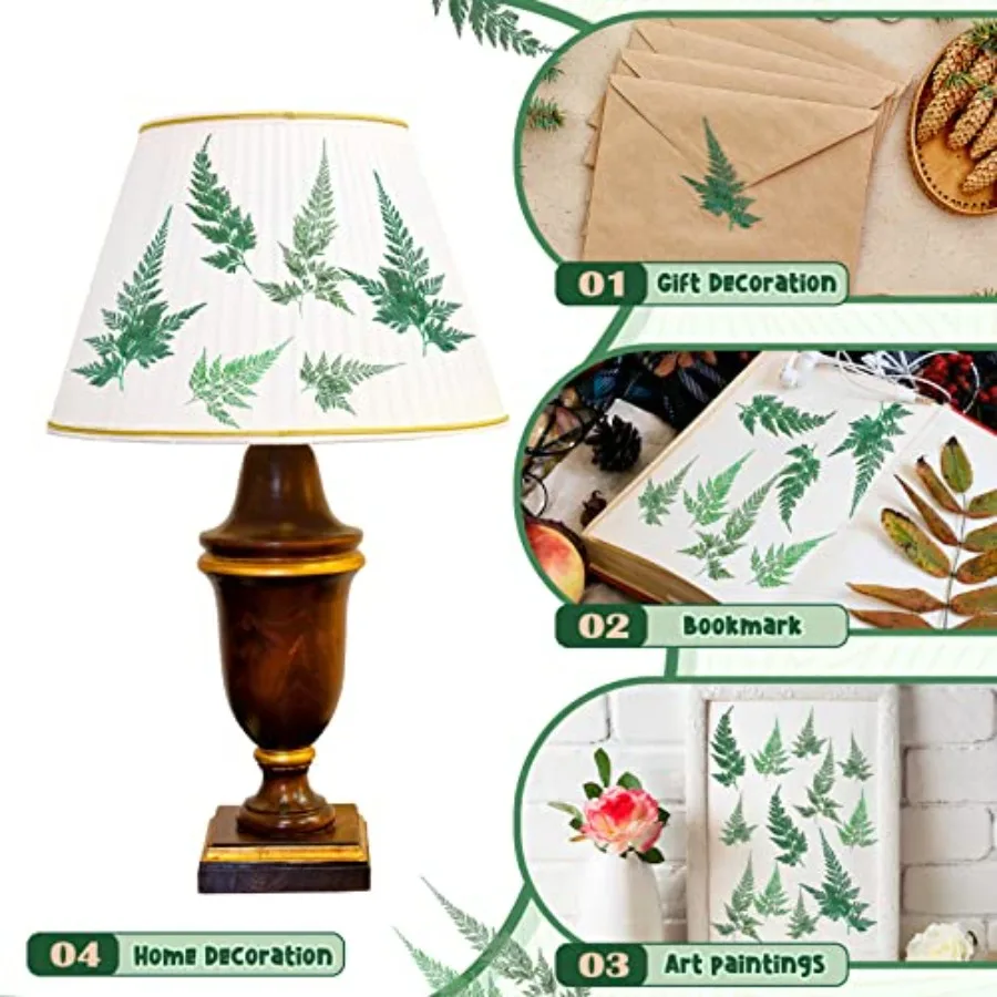 ดอกไม้แห้งอัด 200 ชิ้น ใบไม้สีเขียว ดอกลาร์กสเปอร์ ใบไม้แห้งขนาดเล็ก ใบเฟิร์นธรรมชาติอบแห้ง ใบไม้แห้งแท้สำหรับตกแต่ง