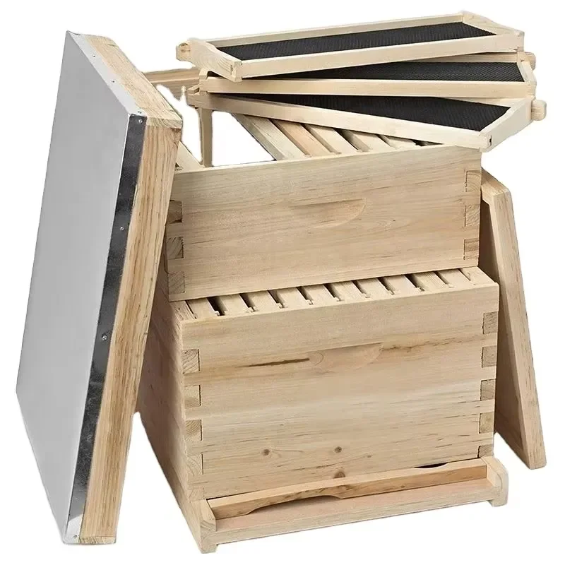 Wooden Beehive Honey Hive Box for Beekeeping Standard Langstroth Design Durable Natural Wood Construction for Honey