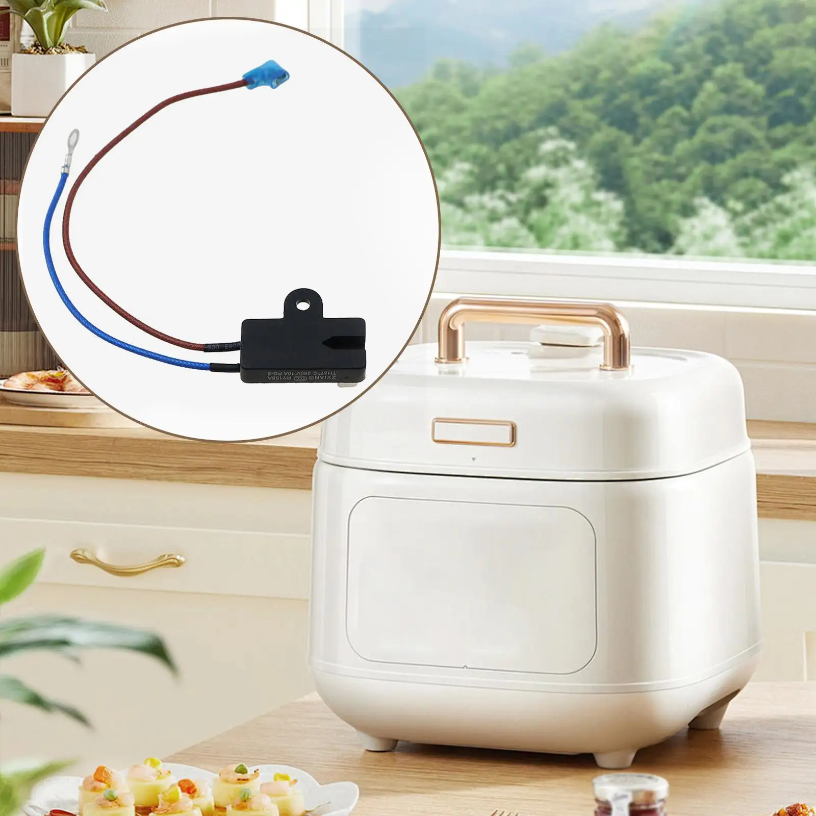 Electric Pressure Cooker Thermal Fuse 250V 10A Temperature Control Cutoff Replacement JY169A TF172℃