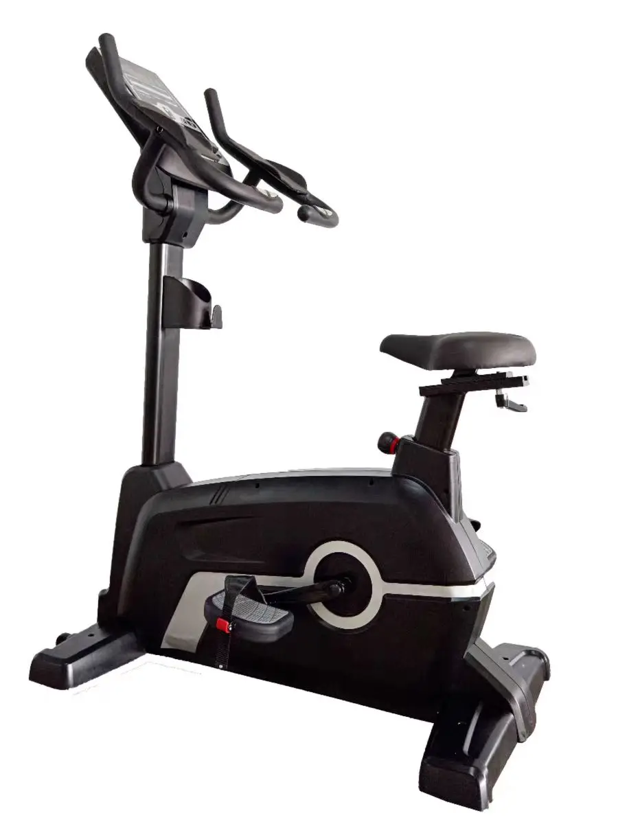 Upright Bike Magnetic System