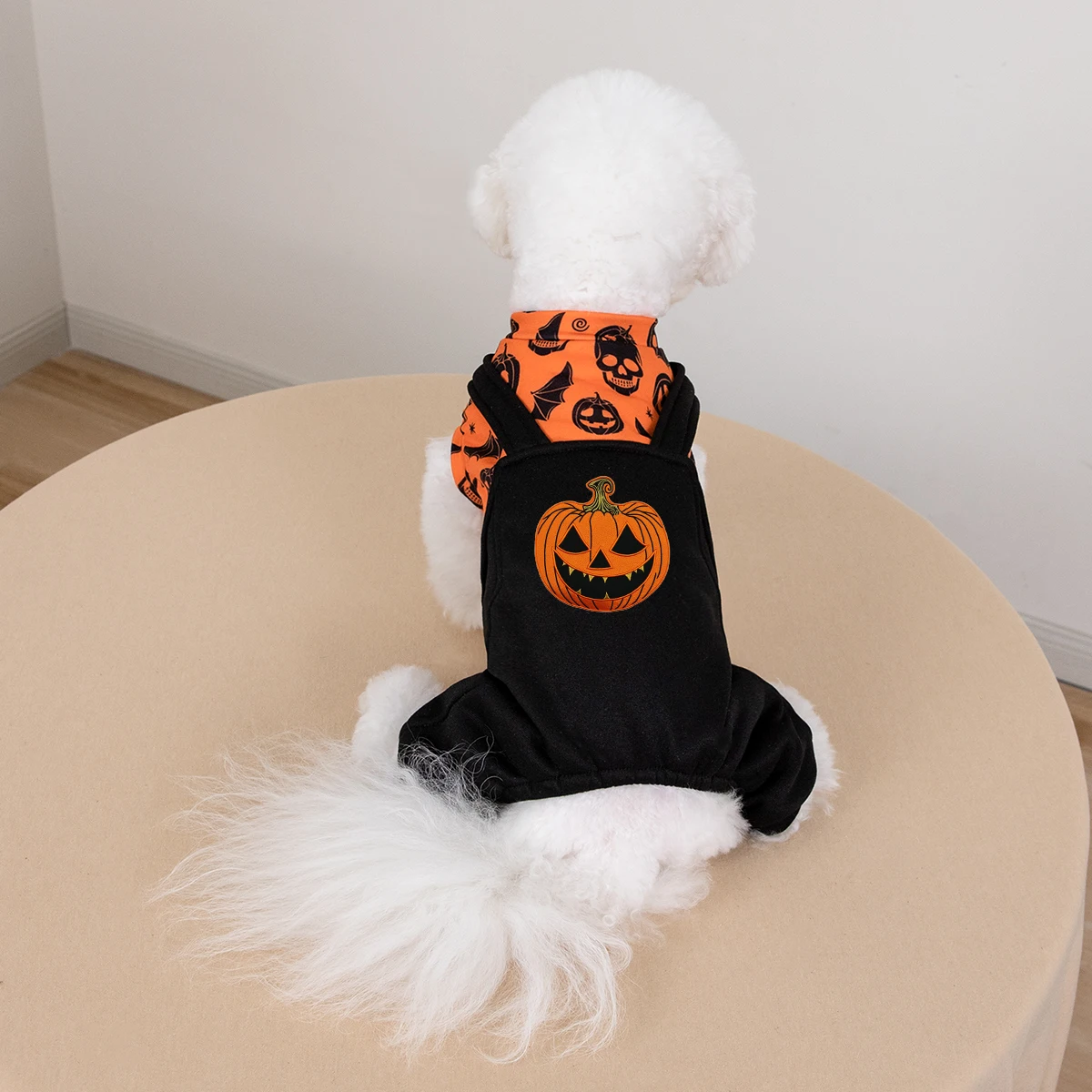 Halloween-Kostüm für Hunde, Kürbis-Schädel-Print, vierbeiniger Haustier-Overall für kleine Hunde, Welpen-Feiertagsoutfit – Detail 3