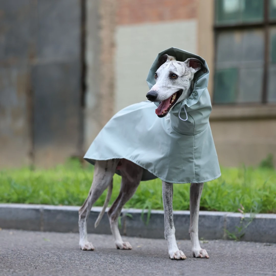 Einfarbiger Regenmantel für Italienische Windhunde und Whippets im Frühling und Sommer, Leichte, Taillenverstellbare, Winddichte Jacke für Hunde – Detail 19