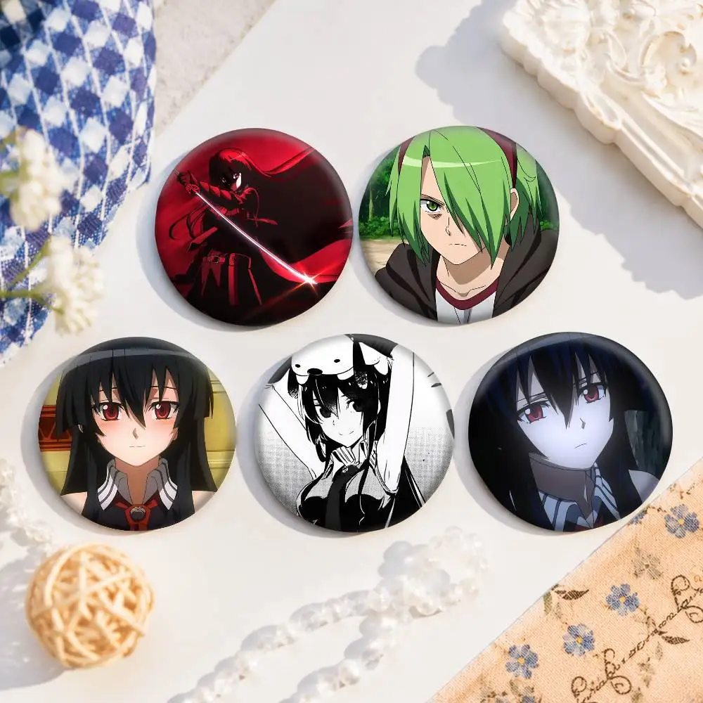 A-Akame Ga KILL Tinplate Brooch Figure Icon Badge Handmade Brooches For Backpack Clothes Decoration