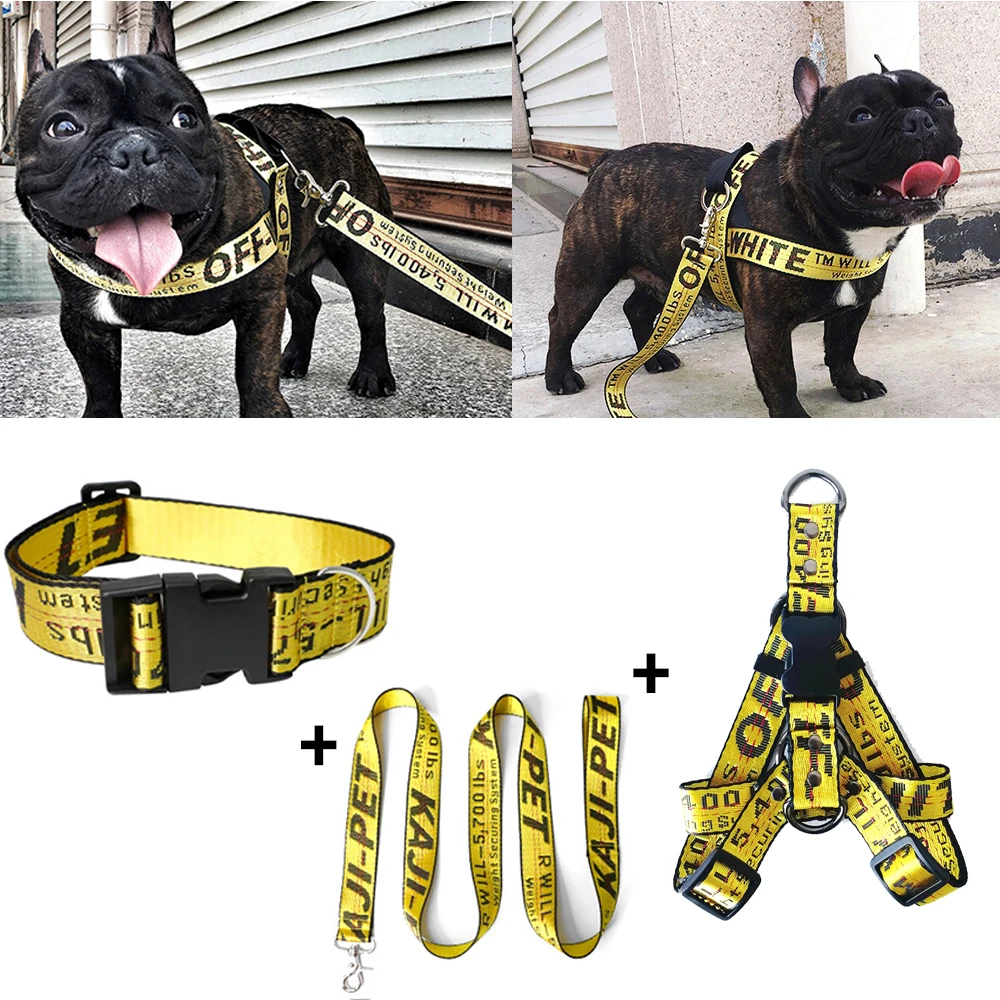 Fashion Dog Collar Leash Set Gold Chain Nylon Pets Dog Collar Leash Long Rope Lettered Collar Perro Collar For Pitbull Puppy Dog