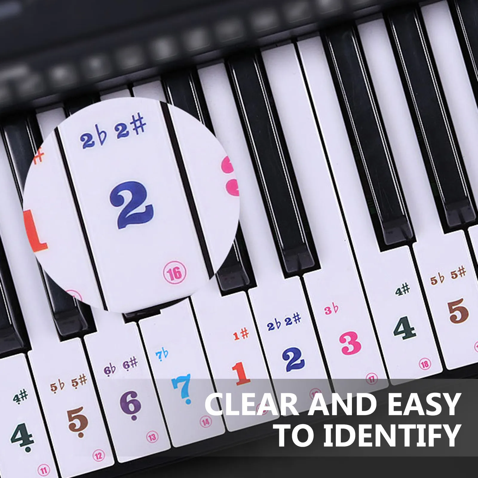 

2 Sheets Stickers for Piano Beginner Help Note Recognition Score Reading Efficient Practice Training Tool Piano Keyboard Decal