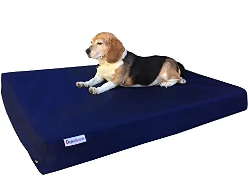 Orthopedic Dog Bed with Memory Foam for Pet, Waterproof Liner with Durable Nylon External Cover, and Bonus Antislip